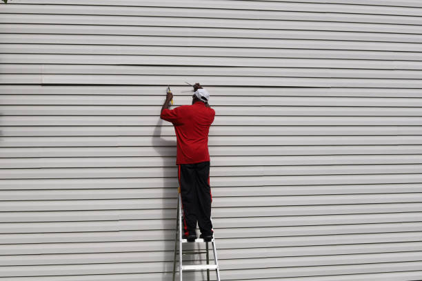 Best Fiber Cement Siding Installation  in Robins, IA