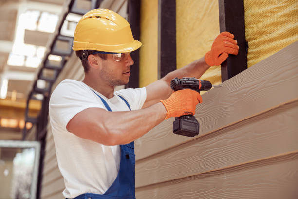 Best Aluminum Siding Installation  in Robins, IA