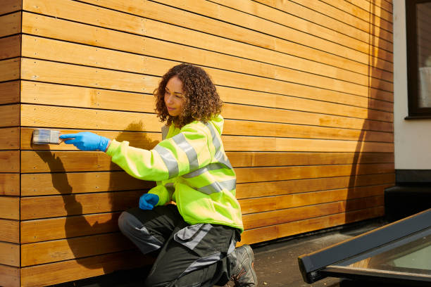 Best Siding Repair  in Robins, IA