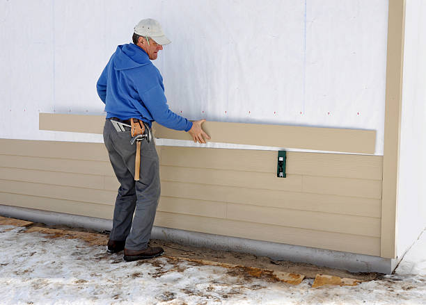 Best Brick Veneer Siding  in Robins, IA
